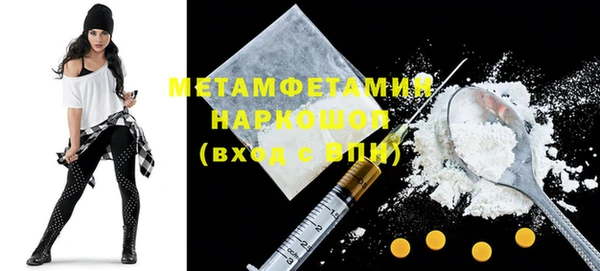 гидра Богородицк