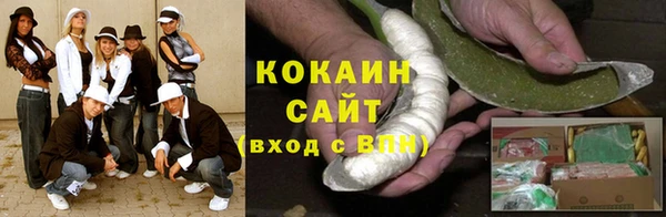 стаф Богданович