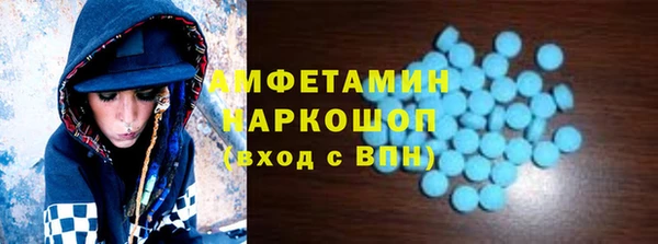 гидра Богородицк