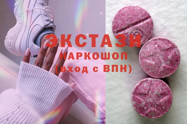гидра Богородицк