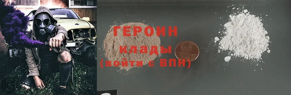 гидра Богородицк