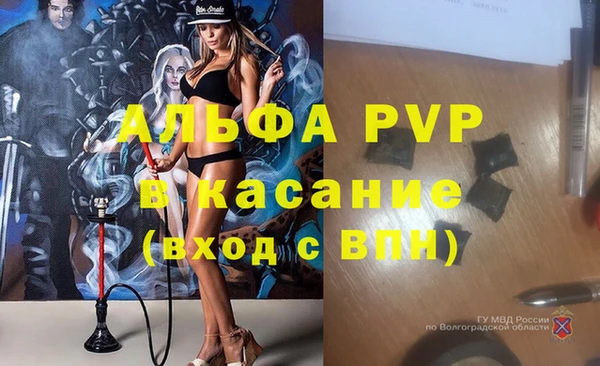гидра Богородицк