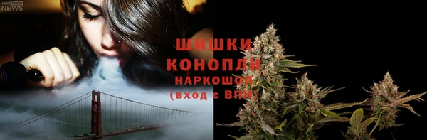 гидра Богородицк