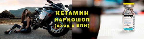стаф Богданович