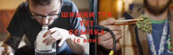 стаф Богданович