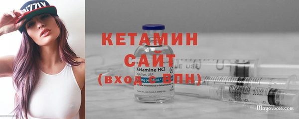 гидра Богородицк