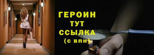гидра Богородицк