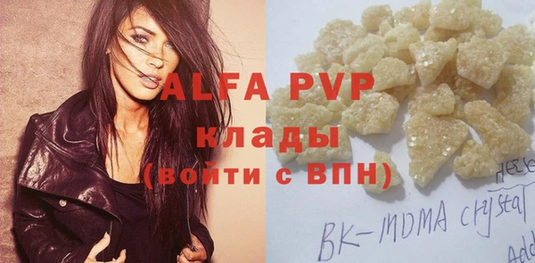 стаф Богданович