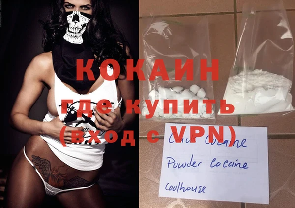 стаф Богданович