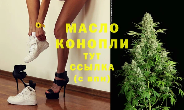гидра Богородицк