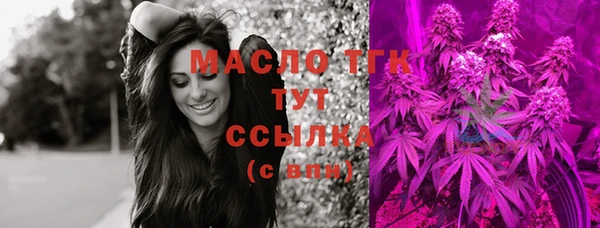 гидра Богородицк