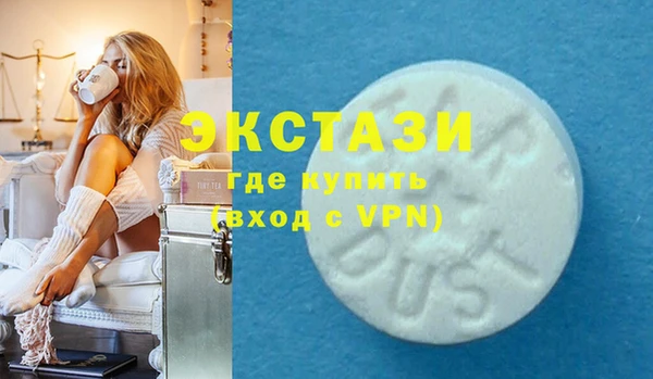 гидра Богородицк