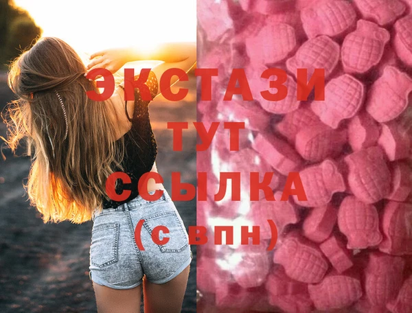 гидра Богородицк