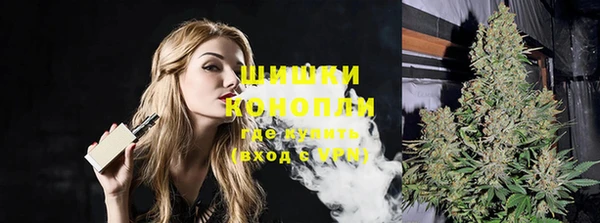 гидра Богородицк