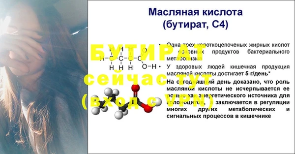 гидра Богородицк